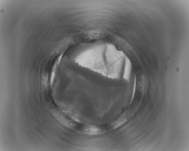 X0000081570610200701291216