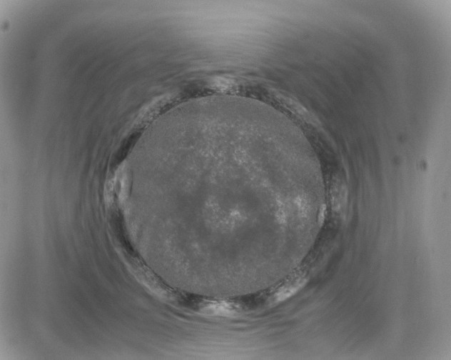 X0000081570611200701291216