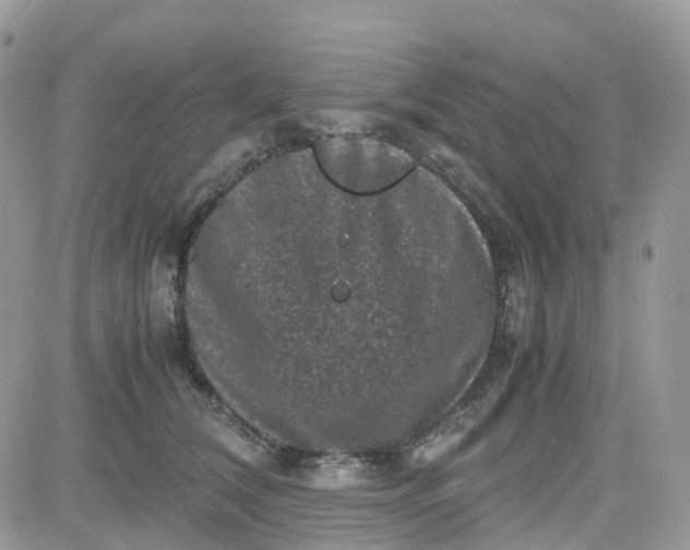 X0000081570612200701291216