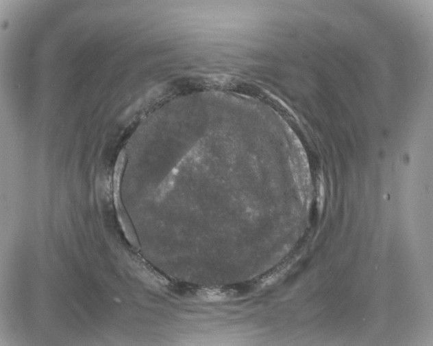 X0000081570613200701291216