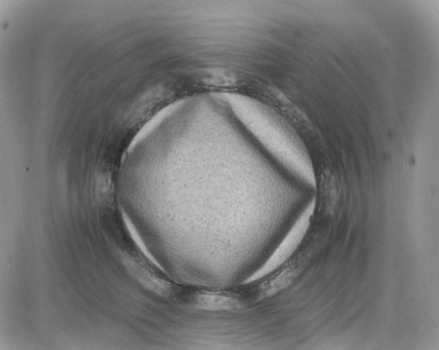 X0000081570614200701291216