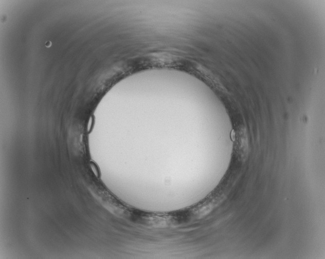 X0000081570615200701291216