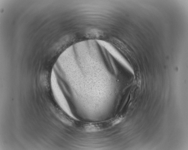 X0000081570616200701291216