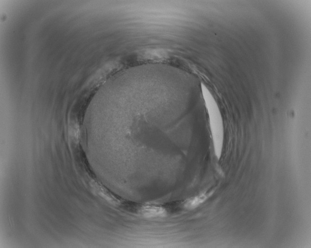 X0000081570617200701291216