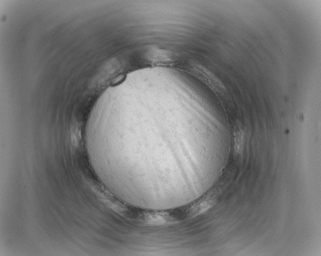 X0000081570618200701291216