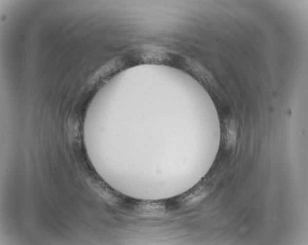 X0000081570619200701291216