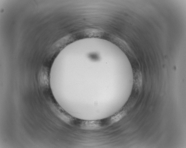 X0000081570622200701291216