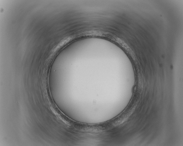 X0000081570625200701291215