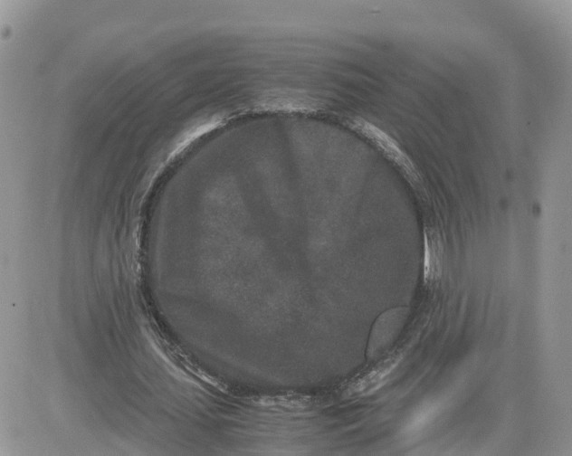 X0000081570627200701291215