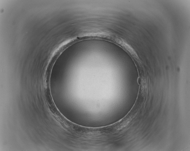 X0000081570628200701291216