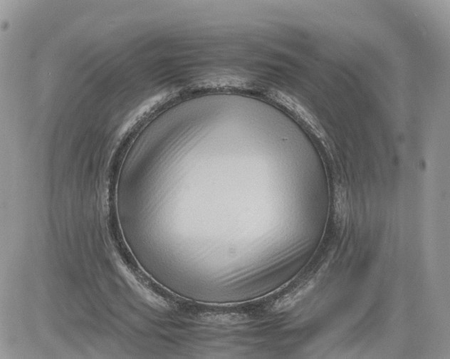 X0000081570629200701291216