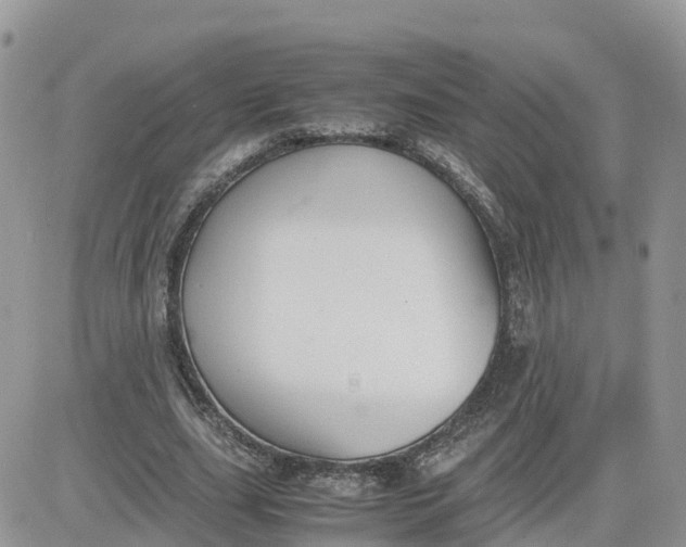 X0000081570631200701291216