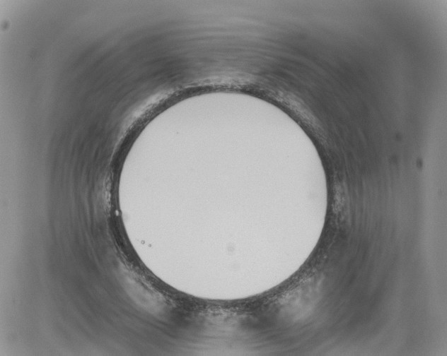 X0000081570632200701291216