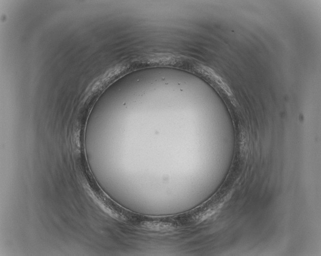 X0000081570633200701291216