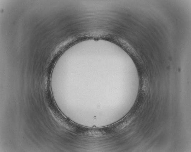 X0000081570636200701291216