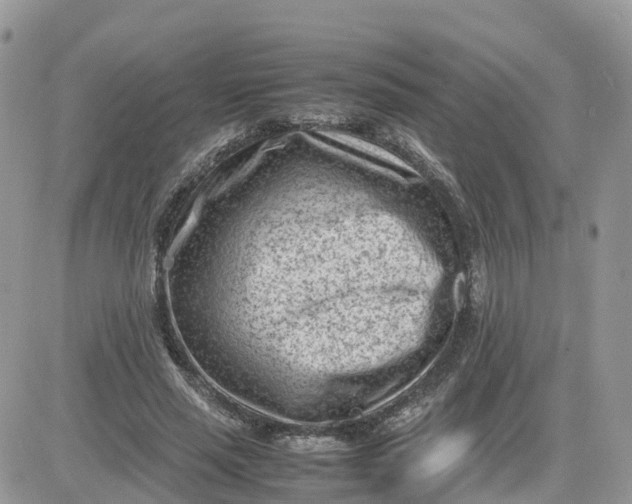 X0000081570637200701291216