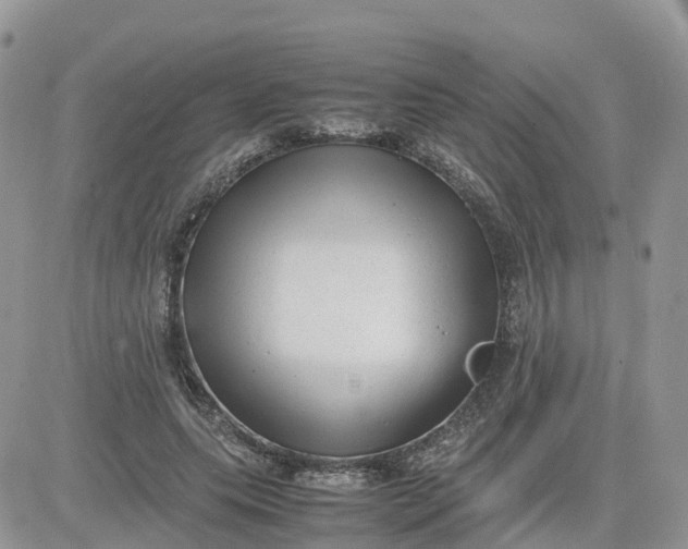 X0000081570639200701291216