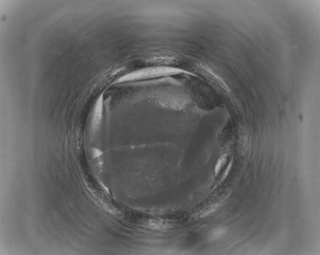 X0000081570641200701291216