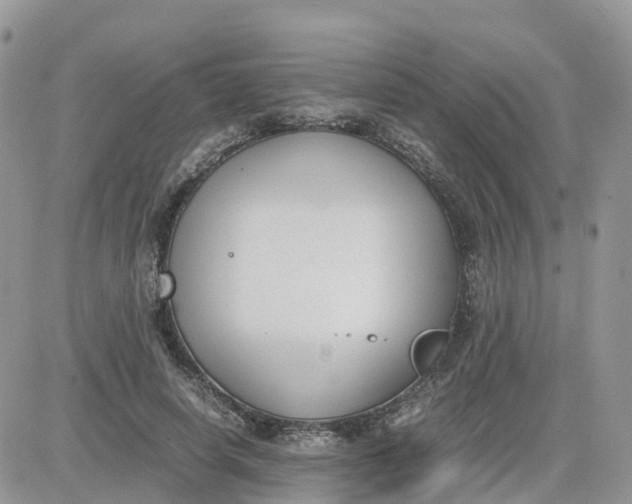 X0000081570642200701291216