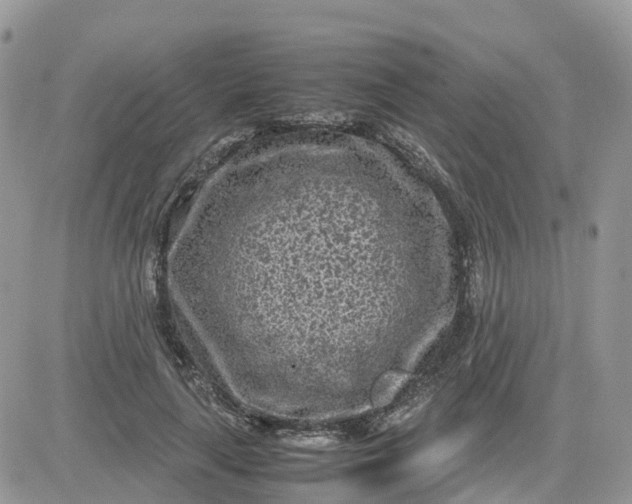 X0000081570643200701291216