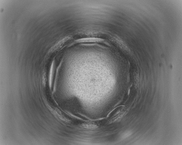 X0000081570644200701291216