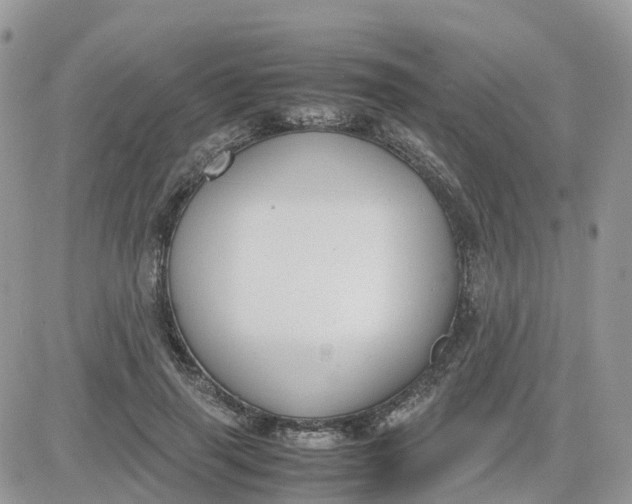 X0000081570645200701291216