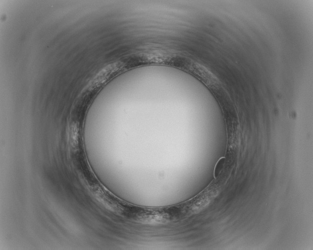 X0000081570646200701291216