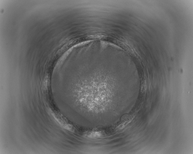 X0000081570647200701291216