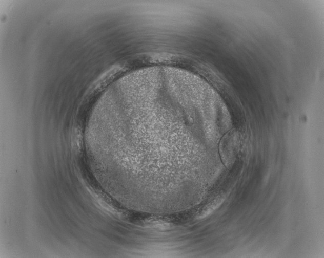 X0000081570648200701291216