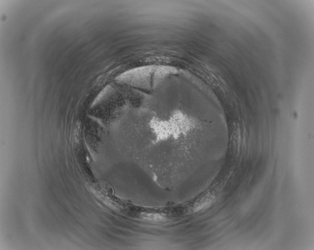 X0000081570649200701291216