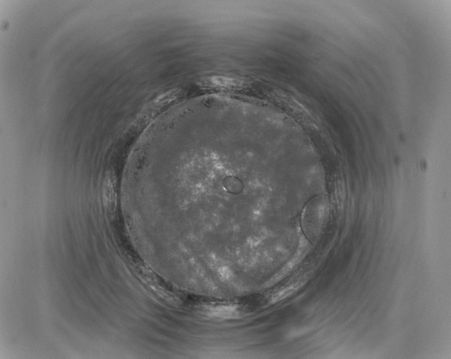 X0000081570651200701291216