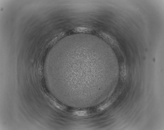 X0000081570653200701291216