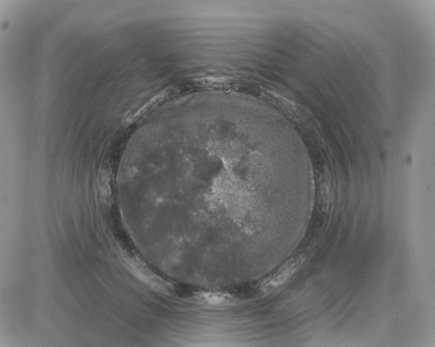 X0000081570654200701291216