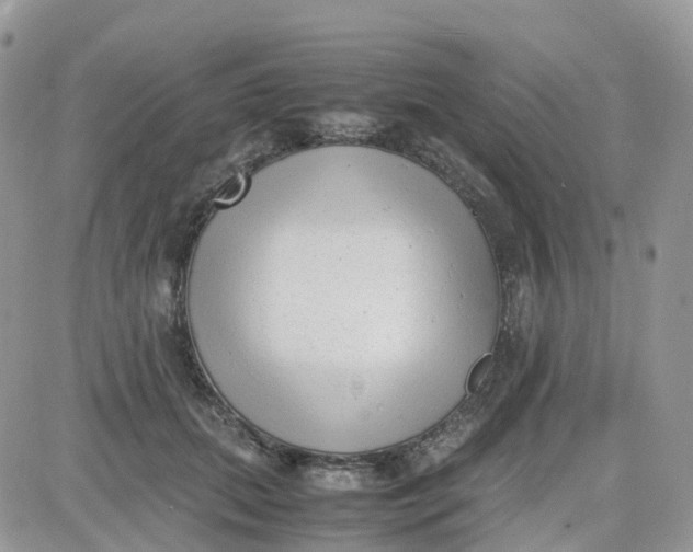 X0000081570655200701291216