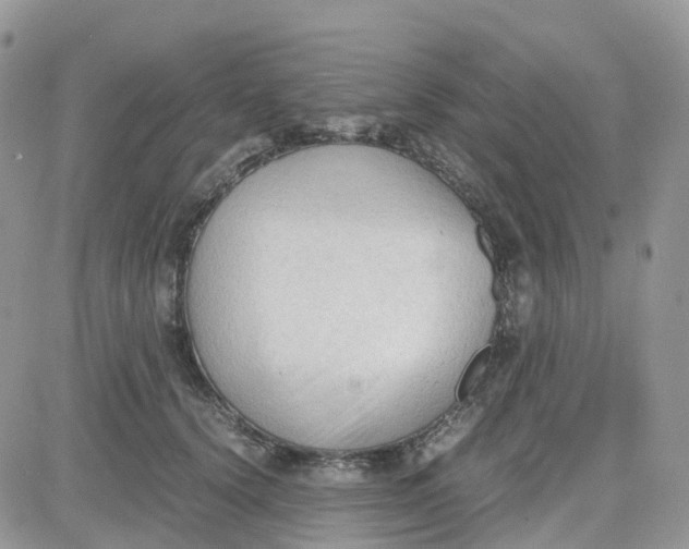 X0000081570656200701291216