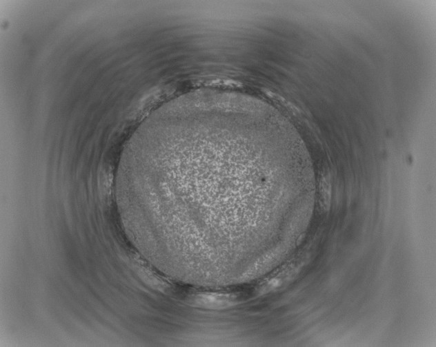 X0000081570657200701291216