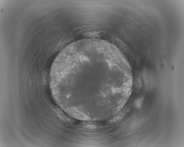 X0000081570658200701291216