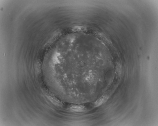 X0000081570659200701291216