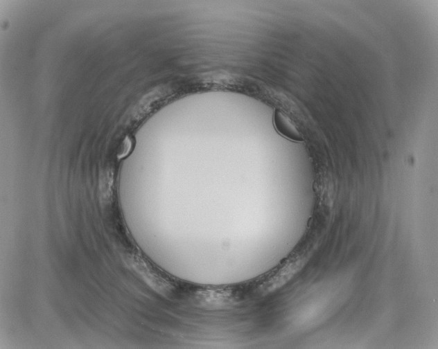 X0000081570660200701291216