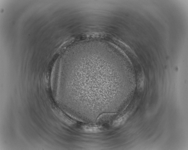 X0000081570661200701291216