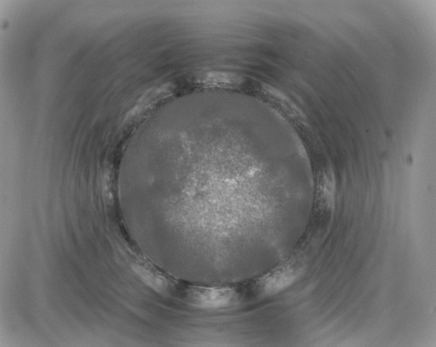 X0000081570663200701291216