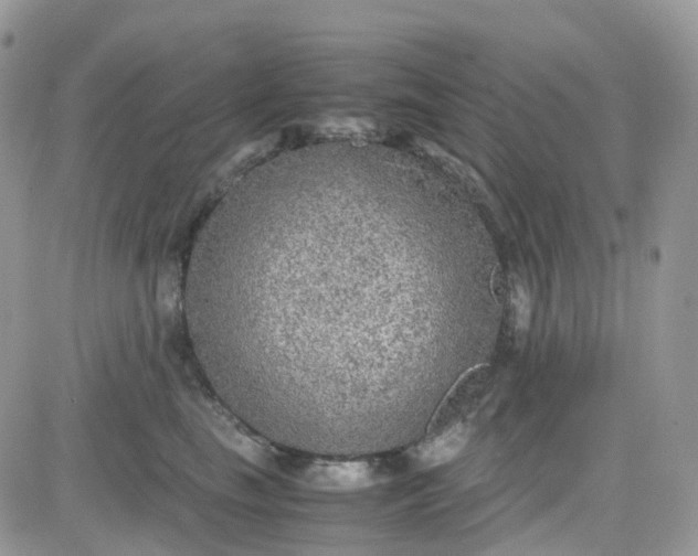 X0000081570665200701291216