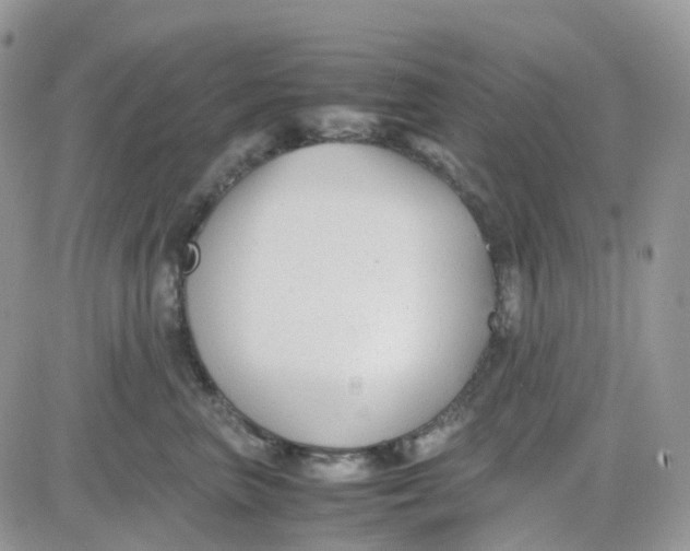 X0000081570667200701291216