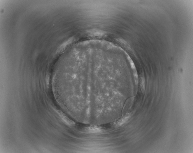 X0000081570668200701291216