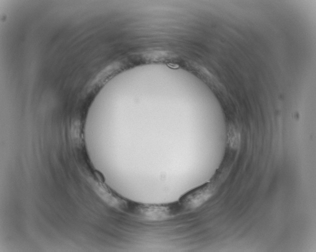 X0000081570670200701291216