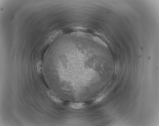 X0000081570671200701291216