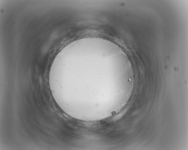 X0000081570672200701291216