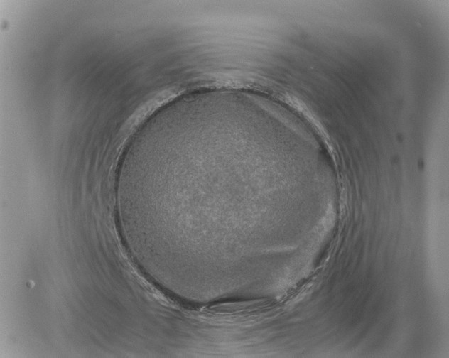 X0000081570673200701291215