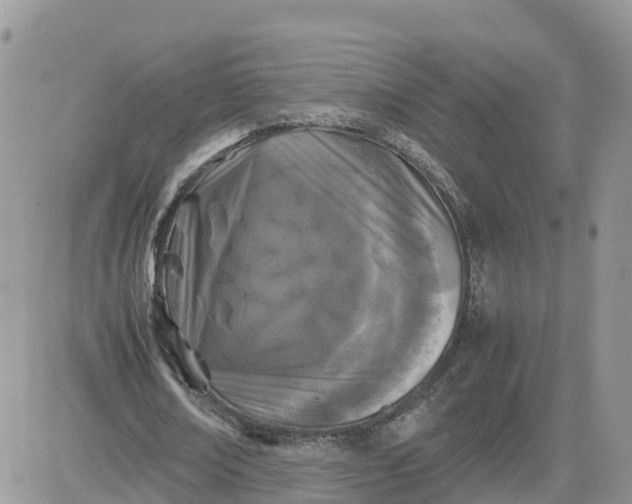 X0000081570674200701291215