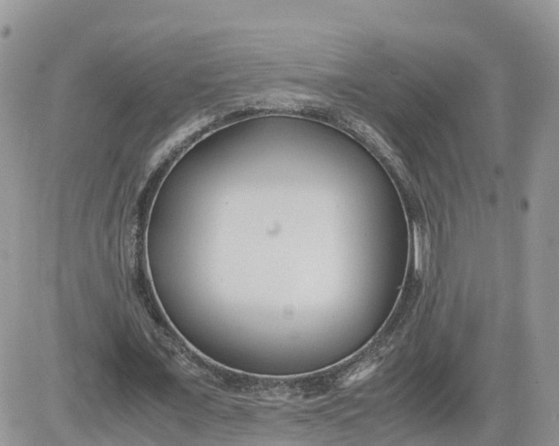 X0000081570675200701291215